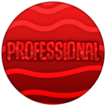 PROFESSIONAL