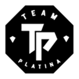 Team Platina Homestore V1.1