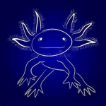 Bluez Axolotl Studios
