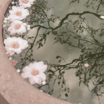 𝐲𝐨𝐮 𝐚𝐛𝐨𝐮𝐭