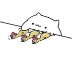cats meaw group