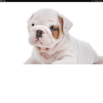 ########################### ##### Number: 4