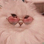 -PinkSquad-