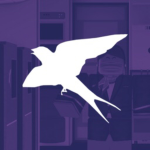 FlyHaven Cabin Crew Academy