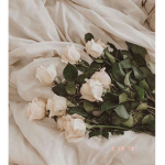 FloraFlowers
