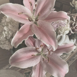 ღ