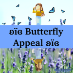 ʚïɞ Butterfly Appeal ʚïɞ