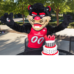 Gabby bearcat group