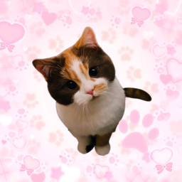 ✩