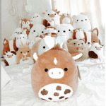 Squishmallows!!