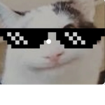 Sacami and Stuff