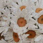 ~Angel's Clothing~