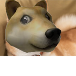 Dogium Studios