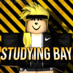 Studying Bay