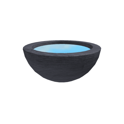 Water Bowl  