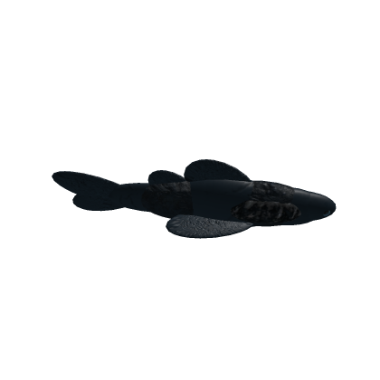 Swimming Fish