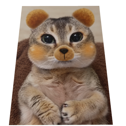 Silly cat mei mei cape