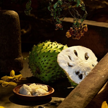 soursop