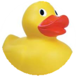 Small Ducky Studio