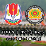 ĐHCS | Tổng Hợp Các Lực Lượng