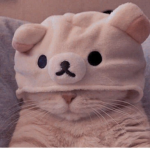 ChillBobaCAT