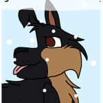 - / Thunder! \ -