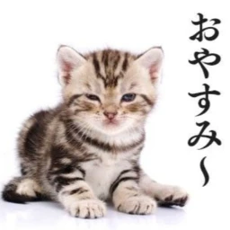 ʚɞ icon