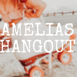 Amelias theme park hangout!