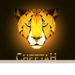 Fast Team Cheetahs!
