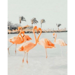 Preppy Flamingos <3