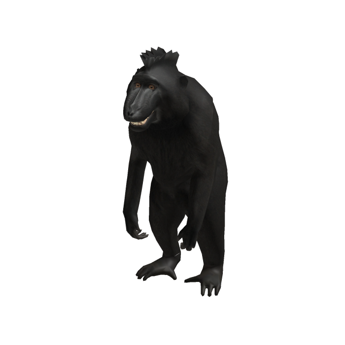 Smiling Monkey Meme Suit