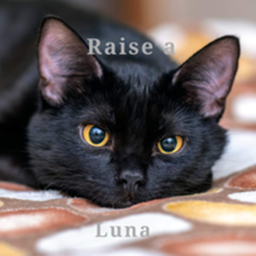 Raise a Luna (Badges!)