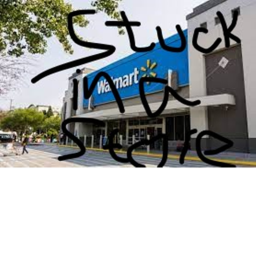 Stuck in a store Simulator.