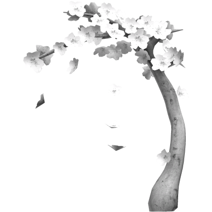 White Overhanging Blossom Tree