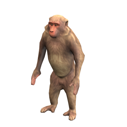Funny Monkey Suit (✔)