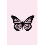 Be Happy Be Amazing Be Free!