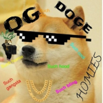 OG DOGE homies
