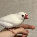 generalと友達のグループ
