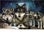 Wolf Pack Victory