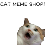 cat meme shop