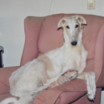 leroy_leroy_leroy