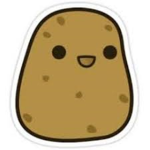 SALCJIPAPITA FAN GROUP