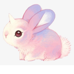 *~Bunnies Club~*