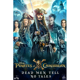 Pirate Fighting