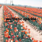-aesthetic sparkle-