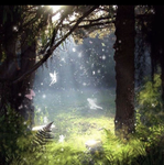 the fairy society