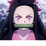Fandom of Anime