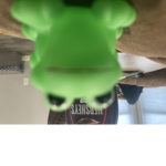 FROG GROUP:D