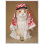 Arabiccats