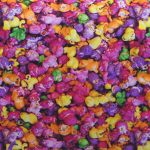 Rainbow Candycorn